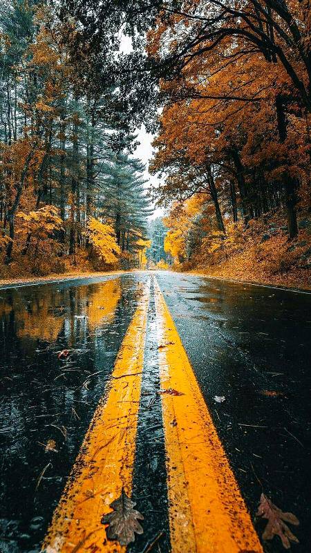 Beautiful view on road,West virigenia