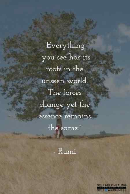 ____Jallaludin Rumi____