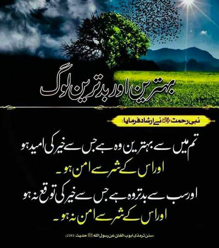 بہترین اور بد ترین