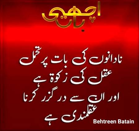 Bilkul 🙂🙂🙂🙂