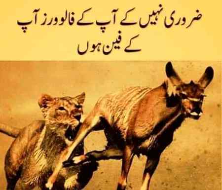 For someone tum smjh gai na?