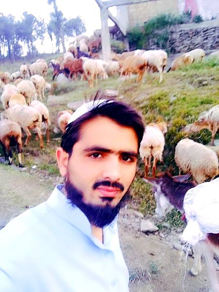 دا کلی مازیگر ۔ طالب جان