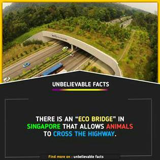 DID YOU KNOW??