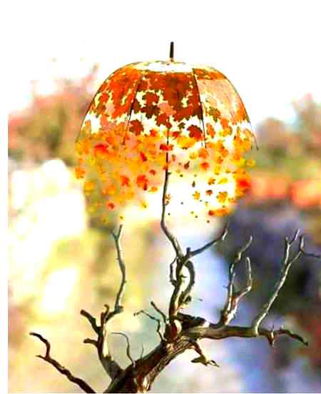 Sokhy pathy ki tarah