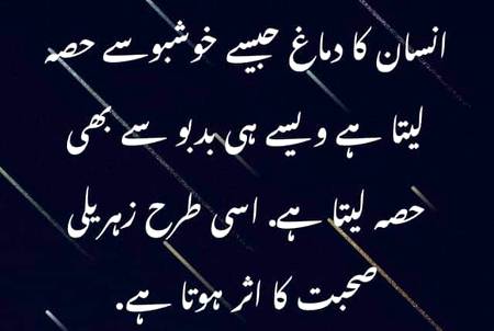 🍂🌹🌷🍁 اَللّٰهُ اَکْبَر اَللّٰهُ اَکْبَر، لَا اِلٰهَ اِلاَّ اللّٰهُ وَاللّٰهُ اَکْبَر، اَللهُ اَكْبَرْ وَِللهِ الْحمْدُاَللّٰهُ اَکْبَرکَبِیْرًا وَالْحَمْدُ ِلِلهِ کَثِیْرًا وَ سُبْحَانَ اللهِ بُکْرَةً وَّاَصِیْلاً🌷🌹🍂🍁
🌹🌹🌹صلی اللہ علی حبیبہ محمد نور من نوراللہ وعلی آلہ واہل بیتہ وعترتہ وازواجہ وصحبہ وجدہ وذریتہ و کل امتہ وبارک وسلم کثیراً کثیرا و دائماً ابدا 🌹🌹🌹