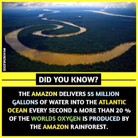 Did you know ?