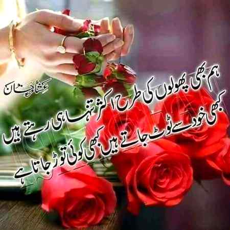 لوگ کانٹوں سے بچ کے چلتے ہیں ہم نے پھولوں سے زخم کھائے ہیں تم تو غیروں کی بات کرتے ھو ہم نے اپنے بھی آزمائے ہیں