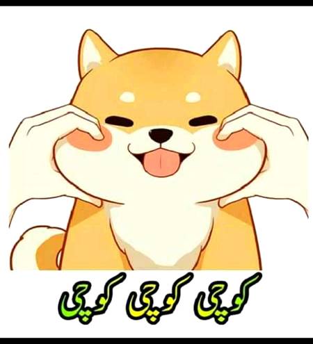 Yaa ap ho Jo dakh rahy ho