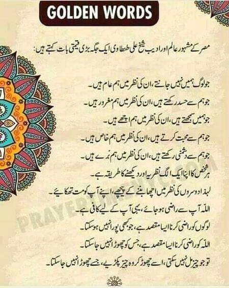 🌹🌹🌹صلی اللہ علی حبیبہ محمد نور من نوراللہ وعلی آلہ واہل بیتہ وعترتہ وازواجہ وصحبہ وجدہ وذریتہ و کل امتہ وبارک وسلم کثیراً کثیرا و دائماً ابدا 🌹🌹🌹