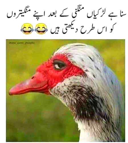 Sach ha na ???