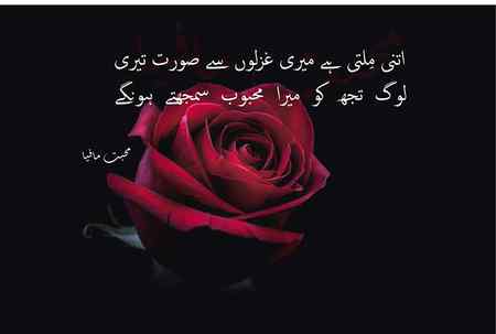 میں دیواروں پر تمہارے عکس بنا کر 
تم سے اپنی مرضی کے جواب سنتا ہوں