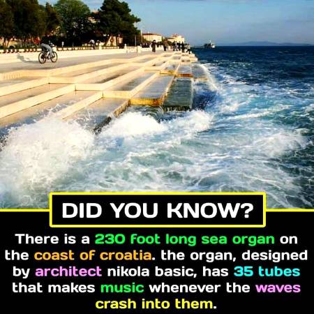 DID YOU KNOW??