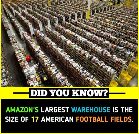 DID YOU KNOW??