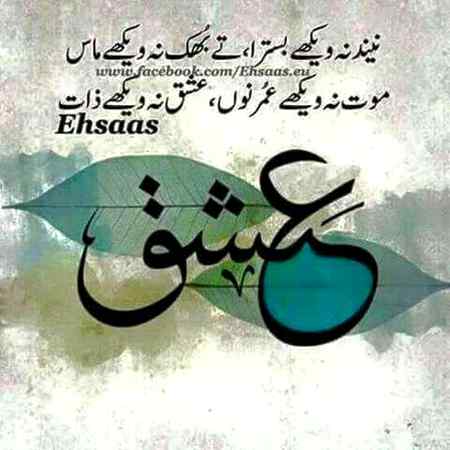 Ishq e haqiqi ❣️