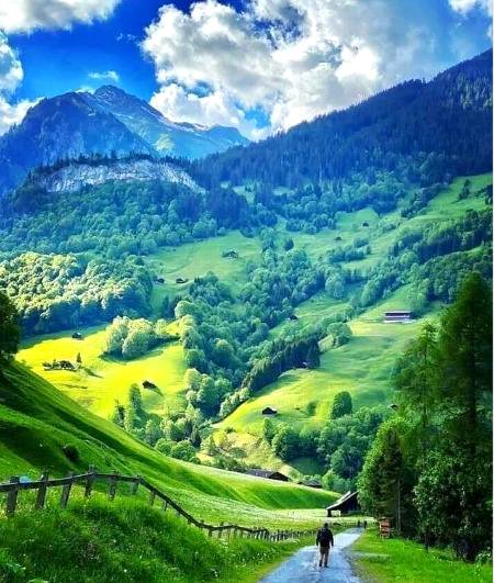 Montainous greenery