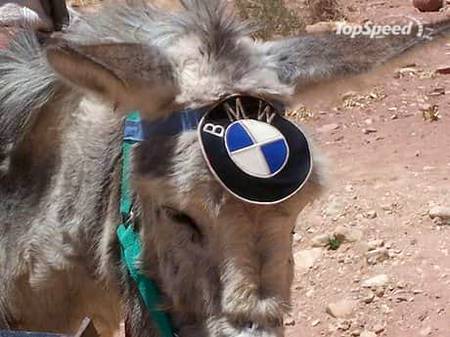 School jana bahot zarori hai 😍