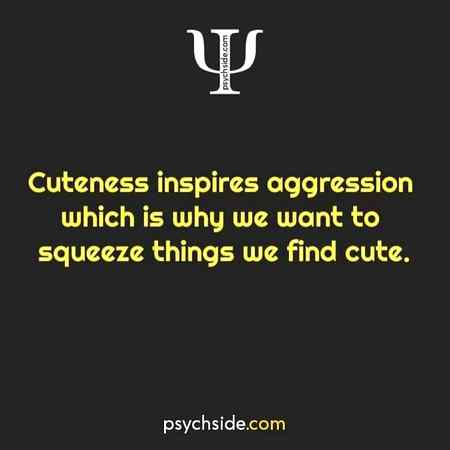 Cuteness inspries