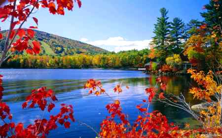 Assalam o Alaikum ๐น๐ธ๐ท๐บ๐ฅ๐ธ๐น๐ฅ๐ฅ๐ฅ๐ฅ๐น๐น๐น๐ธ