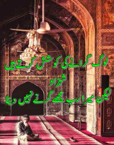 Hlo friends