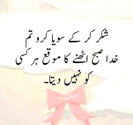 ﺍﭘﻨــﮯ ﺭﺏّ ﮐﺎ ﺷُﮑﺮ ﮔﺰﺍﺭ ﮨﻮﻧﮯ ﮐﮯ لیے
ﺍﮔــﺮ ﮐﻮﺋﯽ ﻭﺟﮧ ﺩﺭﮐﺎﺭ ﮨــﮯ
’’ﺗﻮ ﺍﭘﻨﯽ ﭼﻠﺘﯽ ﮨﻮﺋﯽ ﻧﺒﺾ ﭘﺮ ﮨﺎﺗﮫ ﺭﮐﮫ ﻟﯿﺠﺌﮯ‘‘