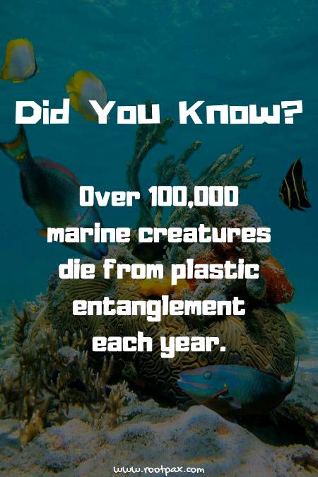 Did you know... Must read