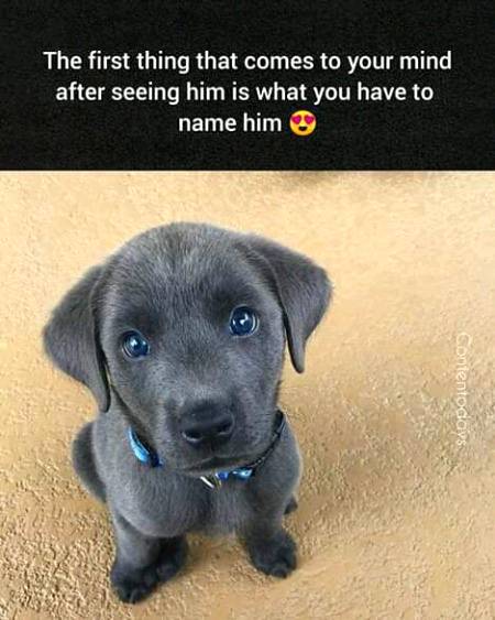 ❤😚blinky