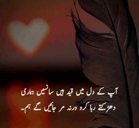 Kbhi kbhi log kesi KY piyar ke qadar nhi krty😓