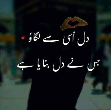 🍁Zoq_Shab🍁