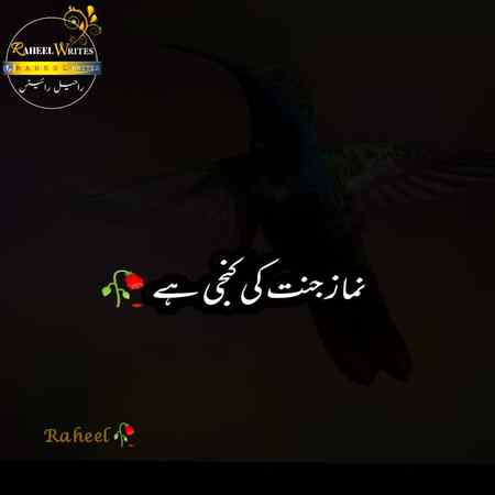 ☆☆☆ Beshak ☆☆☆