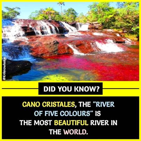 Did you know.. Knowledge