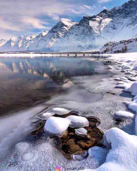 💐💐💐💐⭐⭐⭐⭐