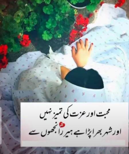 محبت اور عزت کی تمیز نہیں