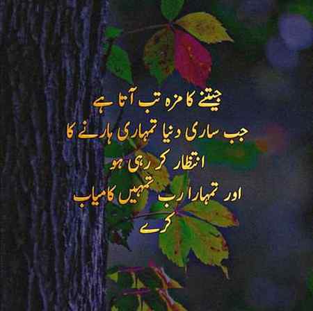 Bilkul ❤💯👌☝️