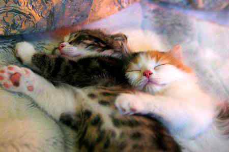 (❤💋)Go0d Night Everyone And Someone Spicail 😍😍 Take Cere (💋❤)