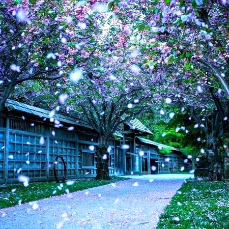 Beauty of nature