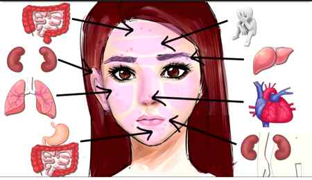 Look and understant..
