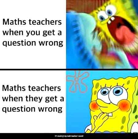 Math teachers be like