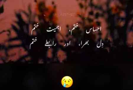 like,Cmnt,s...
