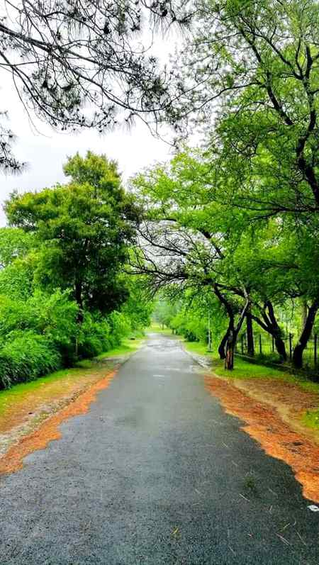 Rainy day afternoon islamabad😍