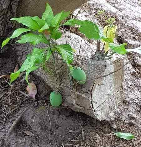 مایُوسی کُفر ہے.. 
شکستہ دِل نہیں ہونا چاہیے.
زندگی کہیں سے بھی شروع ہو سکتی ہے.