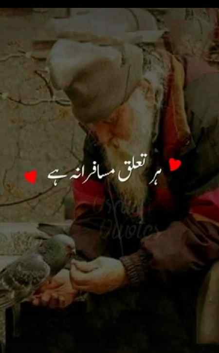 ایک جملہ ہماری پوسٹوں کے لیے
تعریف ، تنقید ، اصلاح ، تجویز⁦ ؟
❤