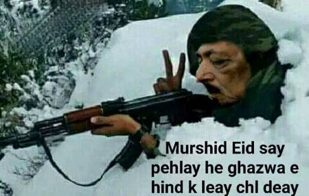 Mushad in a nutshell