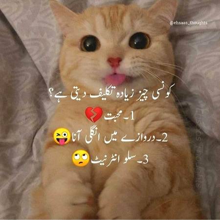 Tell me ???