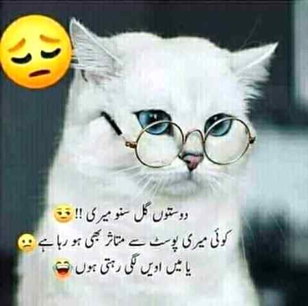 لوڈ شیڈنگ سے ڈر نہیں لگتا غالب
موبائل کی بیٹری لوء ہونے سے لگتا ہے😒😒👈😲😚😭😭😭😭