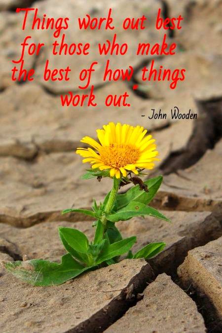 ___Make the best___