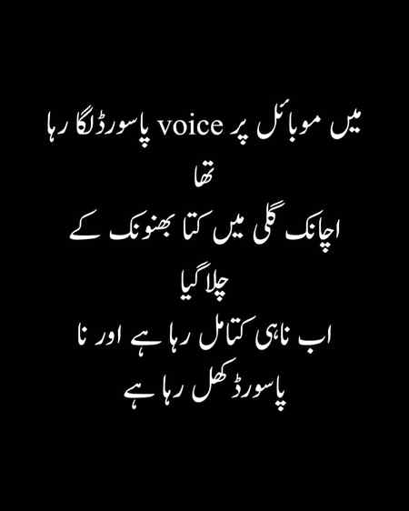 Funn😀😀😀👌👌👍👍