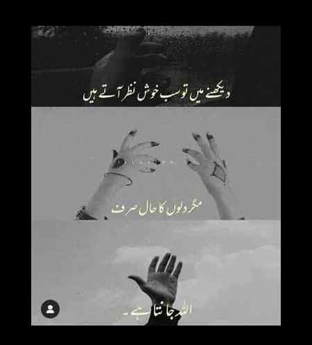 BASHAK 💯👍☝️