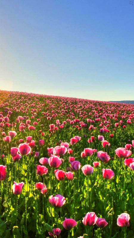 Beautiful kab hum b yaa nazra dakhy ga