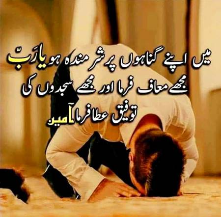 Sary bolo ameen