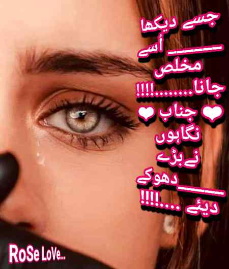 🌹💗🌹💗🌹💗🌹💗🌹💗🌹💗🌹💗